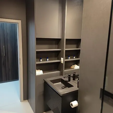 公寓 Delux 蒂米什瓦拉