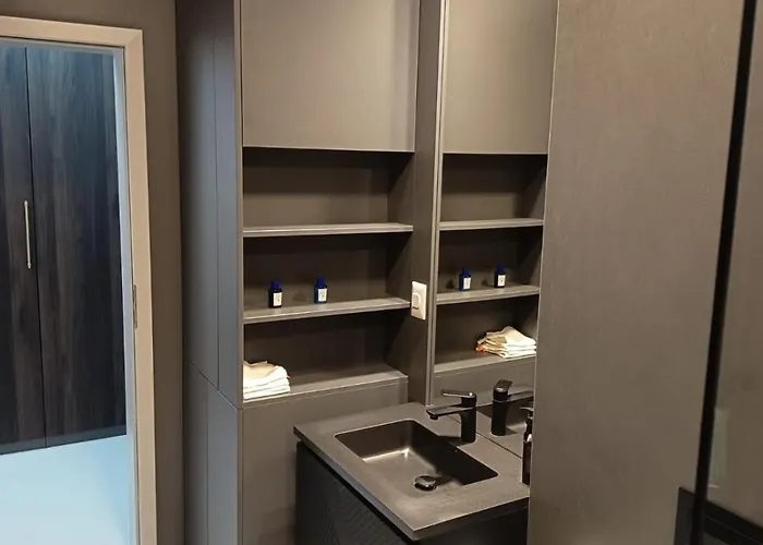 Apartment Delux Timisoara